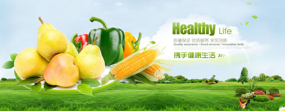 海口腾进网络科技有限公司